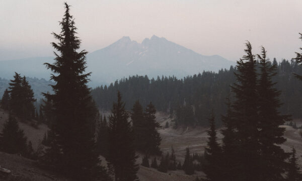 adrian-355860 adrian-355860