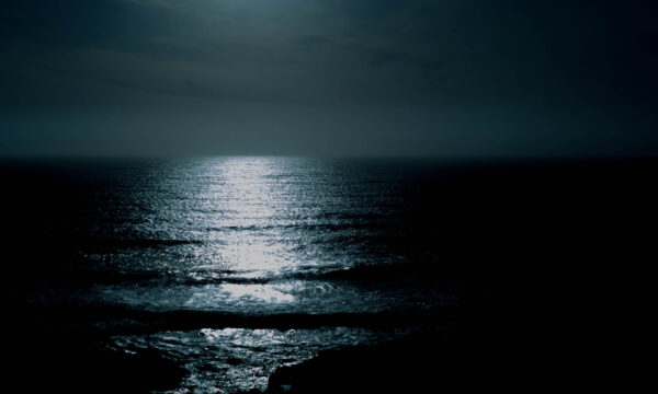 lukas-robertson-27057 lukas-robertson-27057