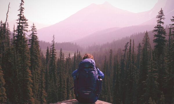 nguyen-le-viet-anh-518007 nguyen-le-viet-anh-518007